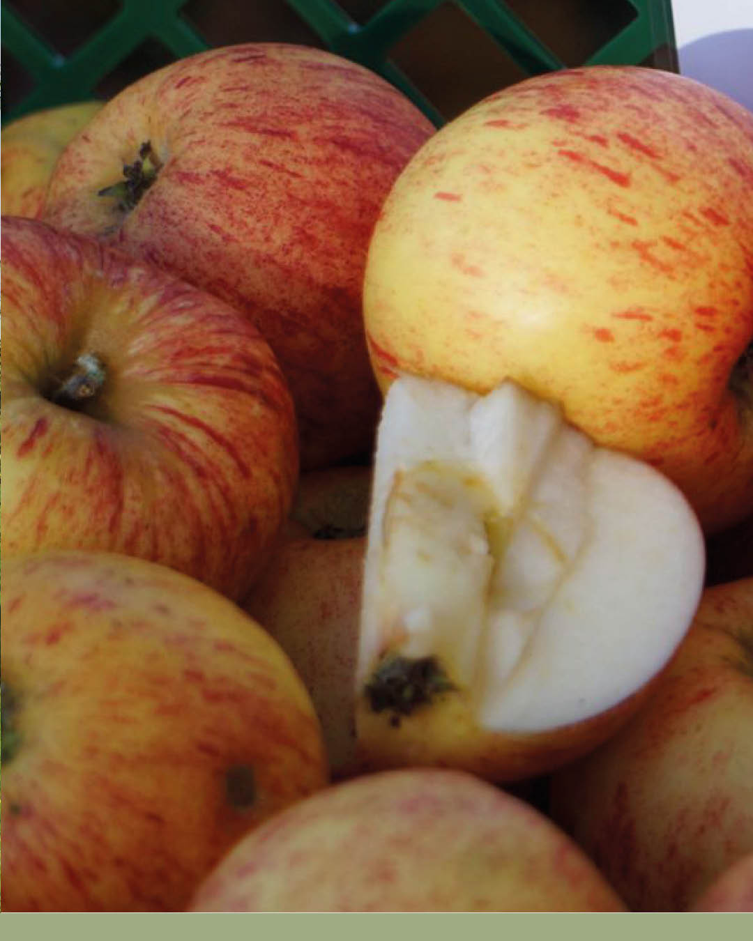 bbs_wesermarsch_1761645625_3753277987202651018_57553191476