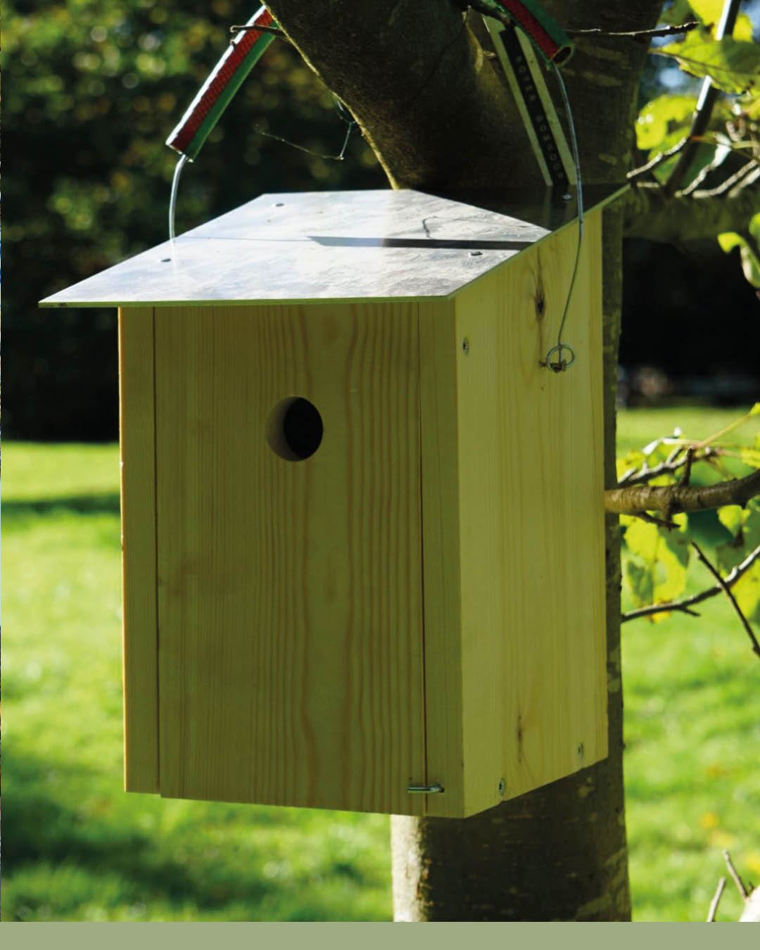 bbs_wesermarsch_1761645625_3753277987663999014_57553191476