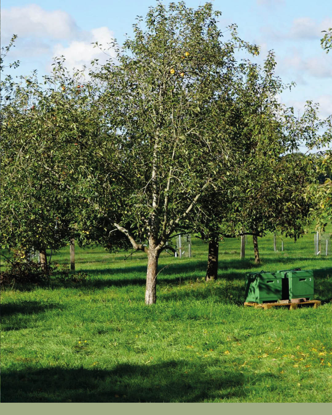 bbs_wesermarsch_1761645625_3753277988075065981_57553191476